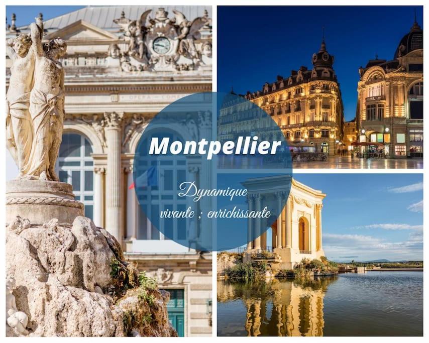 Le Nautilus Proche Plage Clim Parking Prive Wifi Proche Montpellier Карнон-Плаж Екстер'єр фото